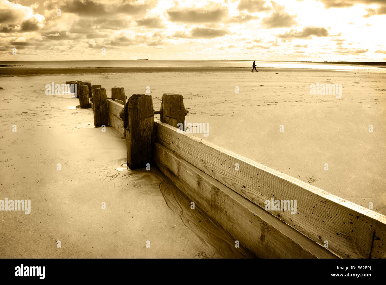 Buhnen - Küstenschutzes - auf Alnmounth Strand Northumberland UK Stockfoto