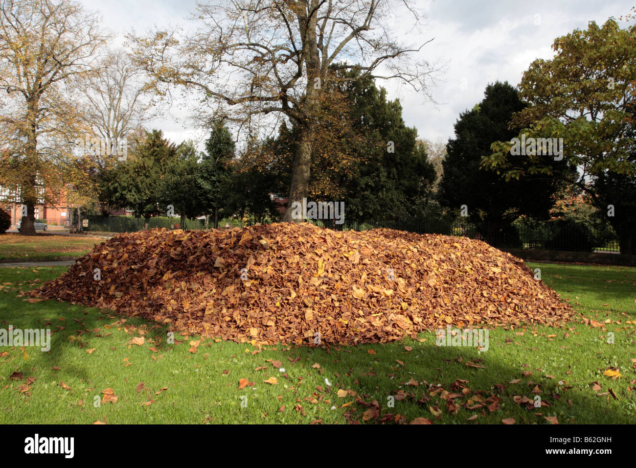 Große Haufen Blätter in einem Park in Chester, England Stockfoto
