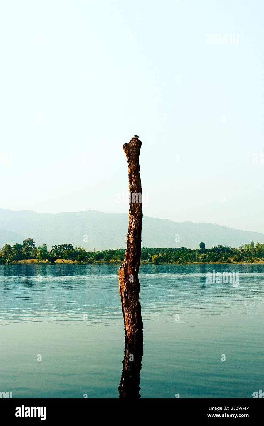 Holzpfosten in den See, Amphoe Mueang, Chiang Rai, Provinz Chiang Rai, Thailand Stockfoto