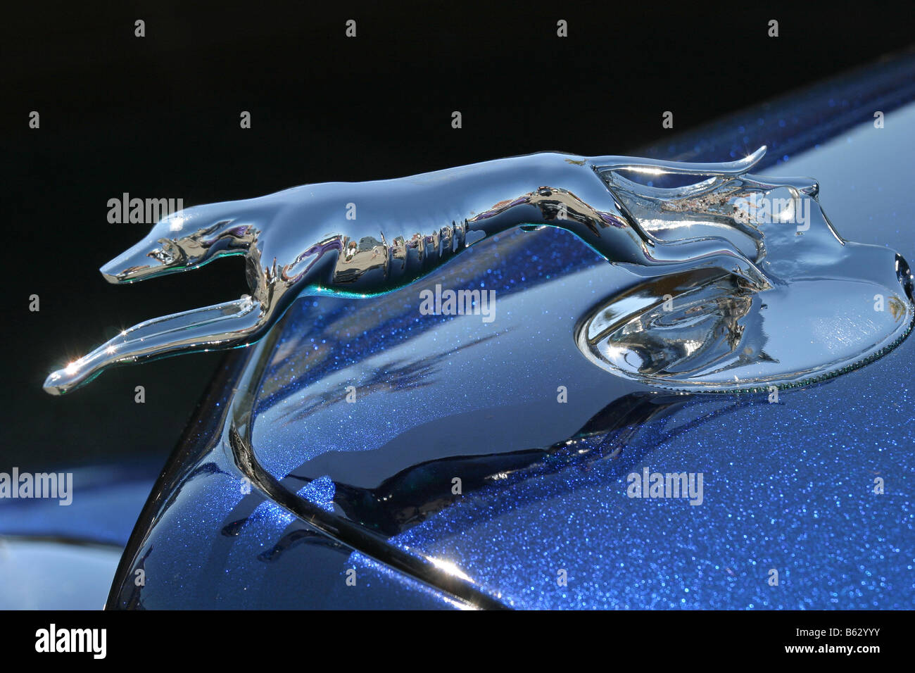 Kühlerfigur Greyhound Racing Stockfoto