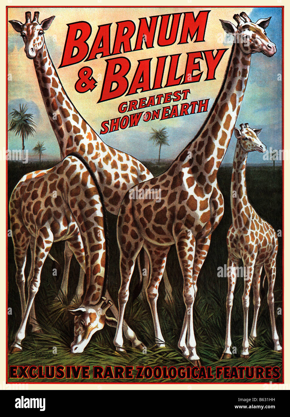 Barnum und Bailey Giraffen 1917 Plakat für die größte Show auf Erden mit exklusiven seltenen zoologischen Eigenschaften Stockfoto