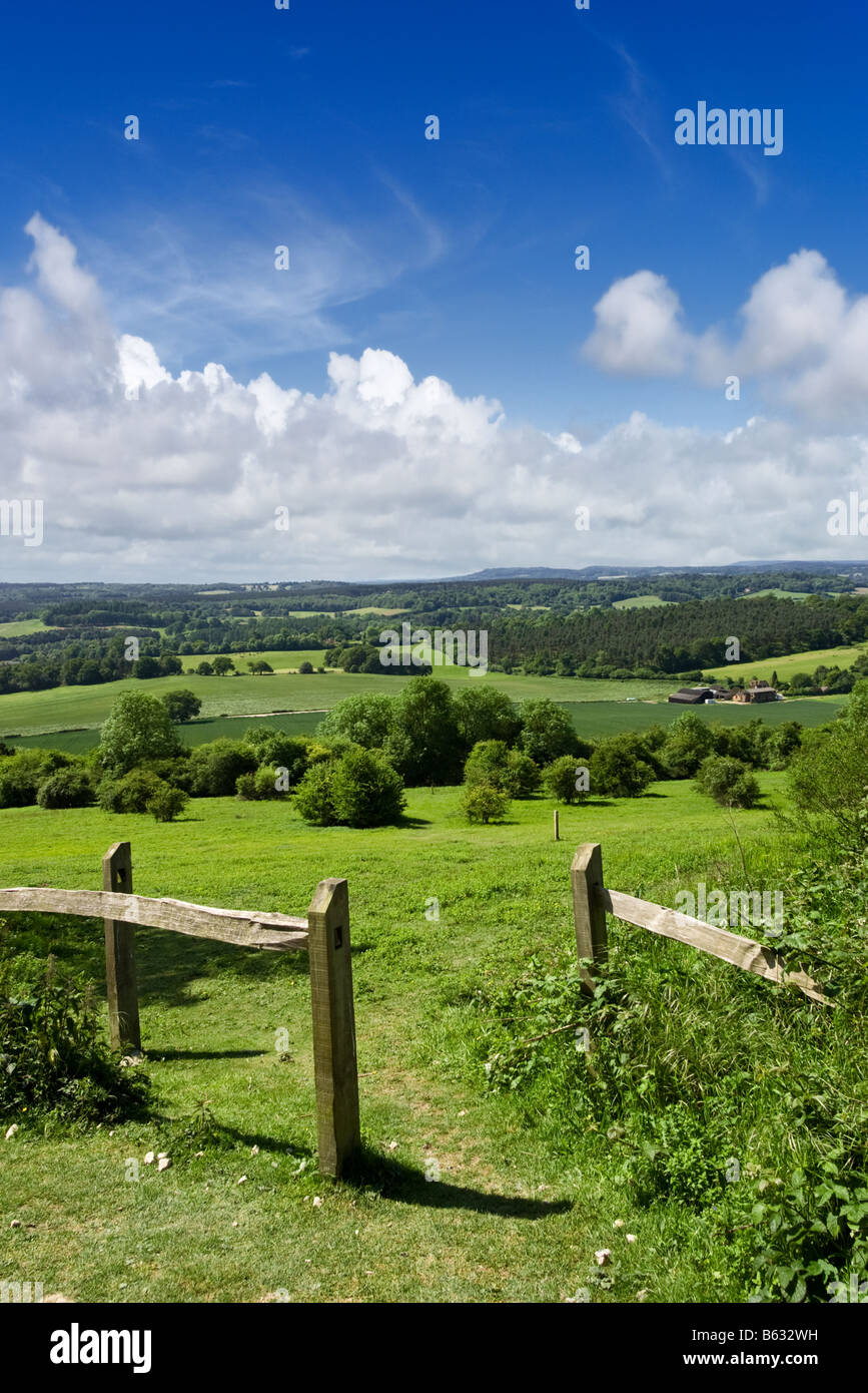 Gegen über der Surrey Sussex Weald von der North Downs Way in der Surrey Hills, England, Großbritannien Stockfoto