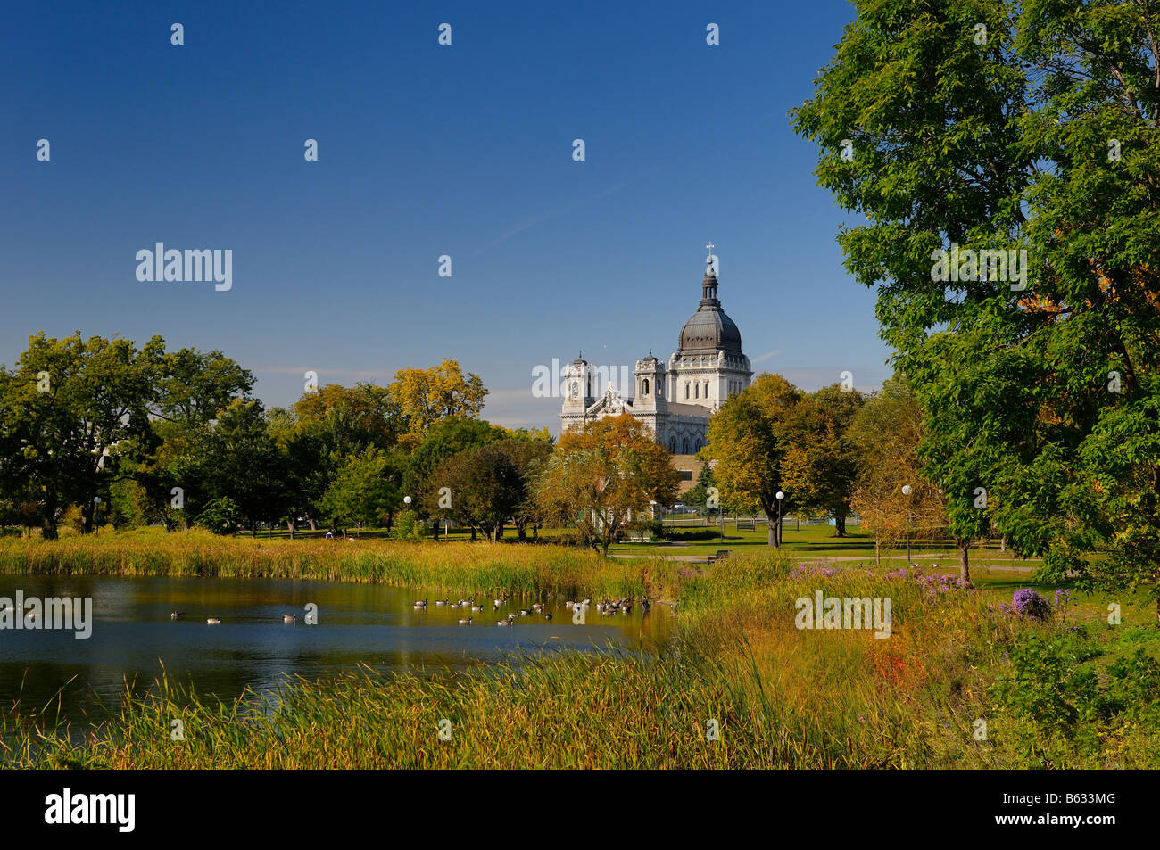 Basilika von Saint Mary Catholic Church von Loring Park Lake mit Kanadagänse in Minneapolis Stockfoto