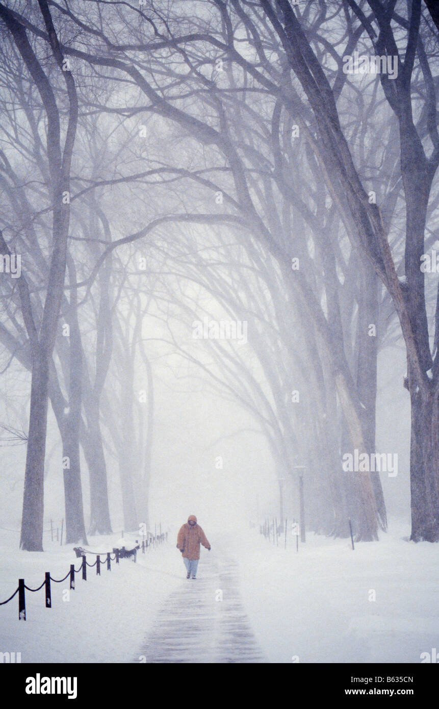 Einsame Fußgänger trotzt einen Winter-Schnee-Sturm auf dem Campus der Pennsylvania State University State College Pennsylvania USA Stockfoto