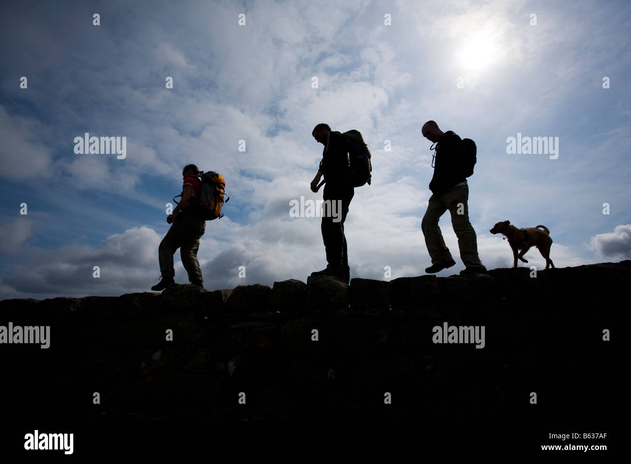 Silhouette von Wanderern und Hund in der Mourne Mountains, County Down, Nordirland, Großbritannien. Stockfoto