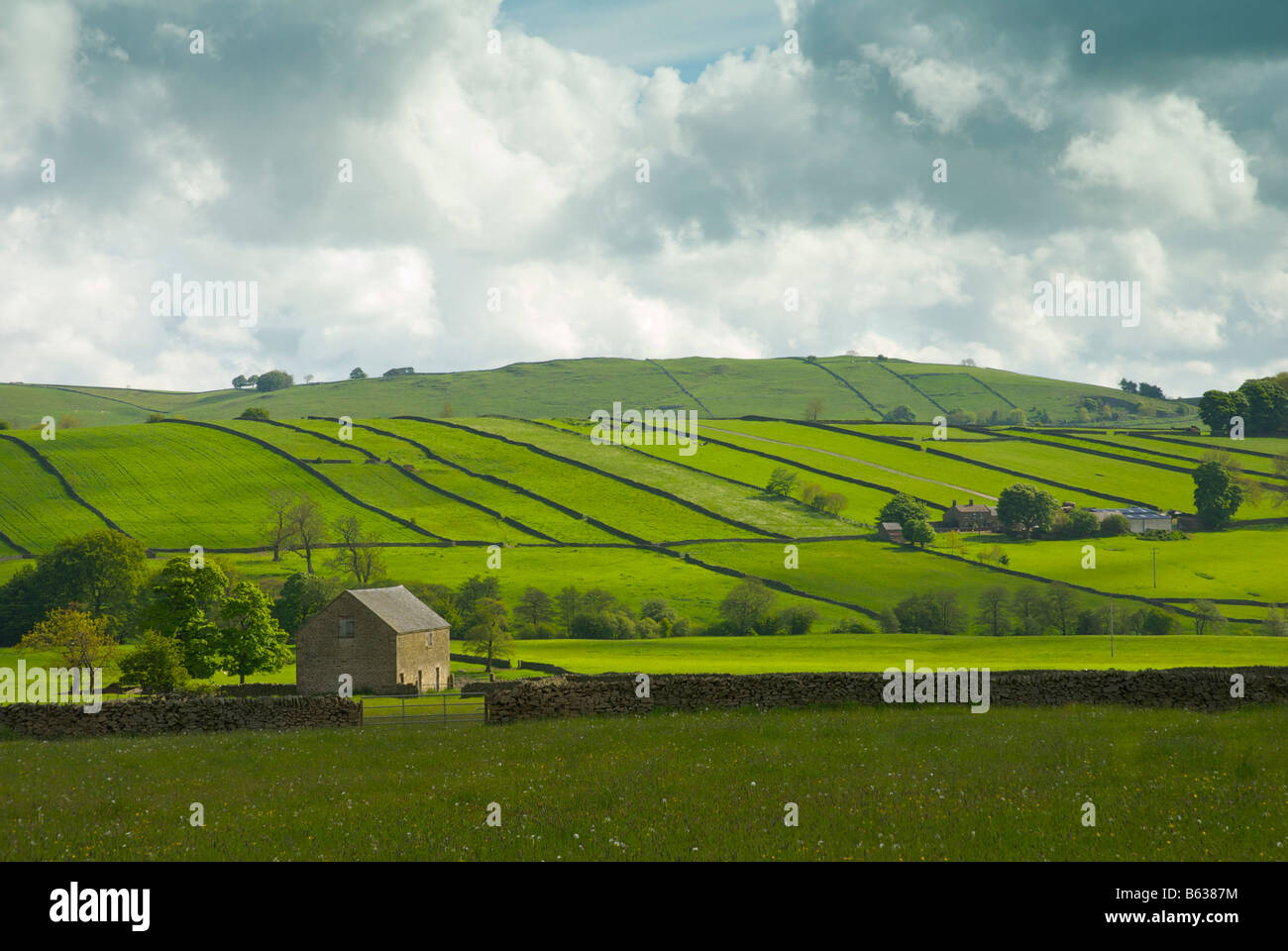 Scheune und Felder im Frühsommer in der Nähe von Longnor, Derbyshire, Peak National Park, England UK Stockfoto