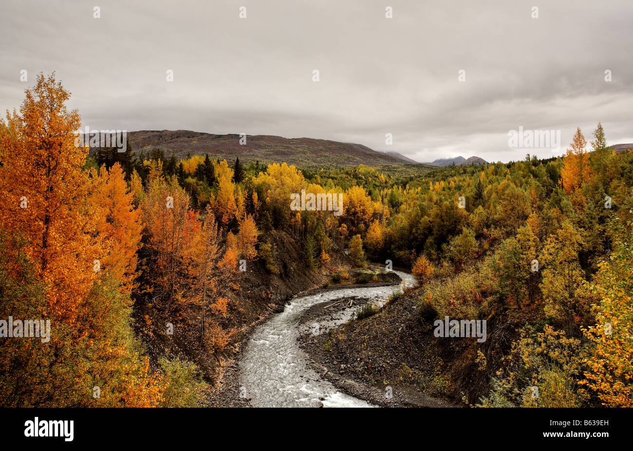 Creek im Norden von British Columbia Stockfoto