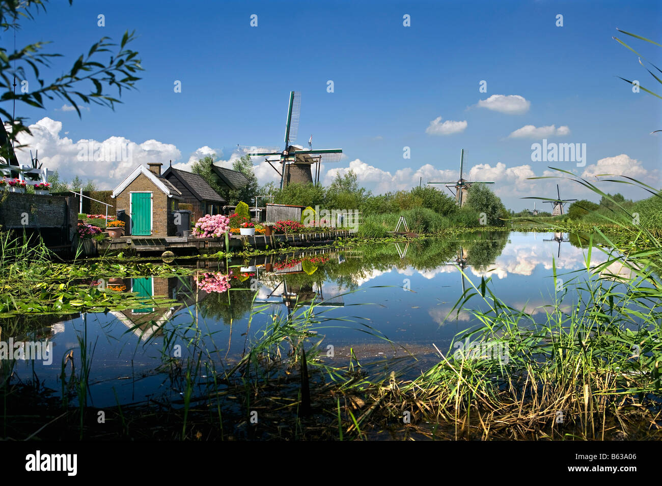 Niederlande Zuid-Holland Kinderdijk Windmühlen zum UNESCO-Weltkulturerbe Stockfoto