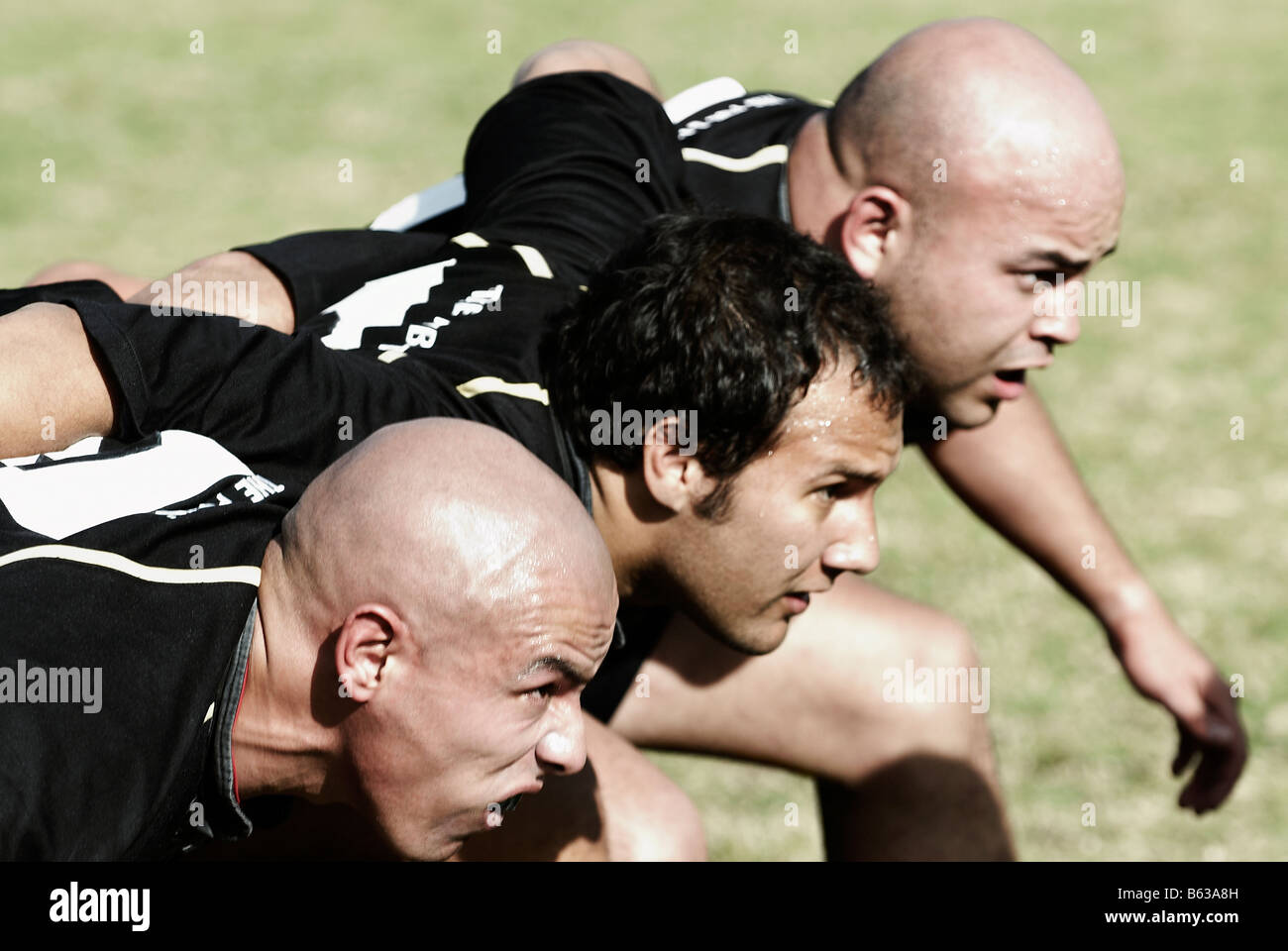 Rugby-Spieler bilden Scrum in einem Feld Stockfoto