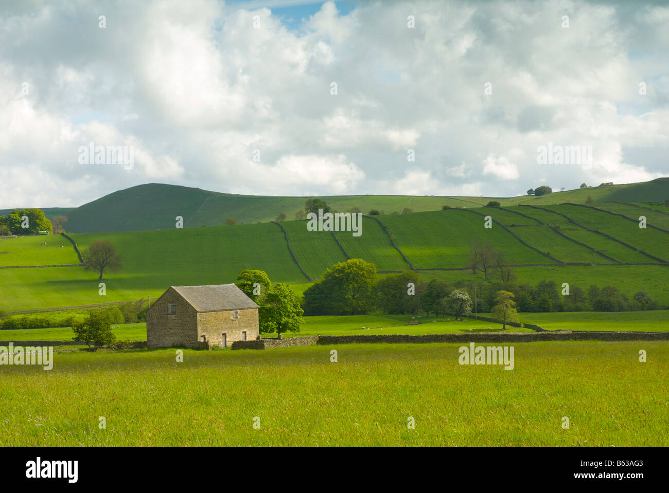 Scheune und Felder im Frühsommer in der Nähe von Longnor, Derbyshire, Peak National Park, England UK Stockfoto
