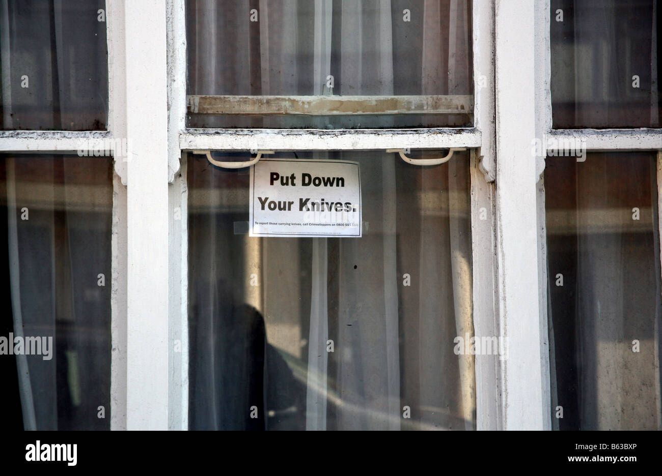 Anti-Messer Kampagne Zeichen in London Haus Fenster Stockfoto