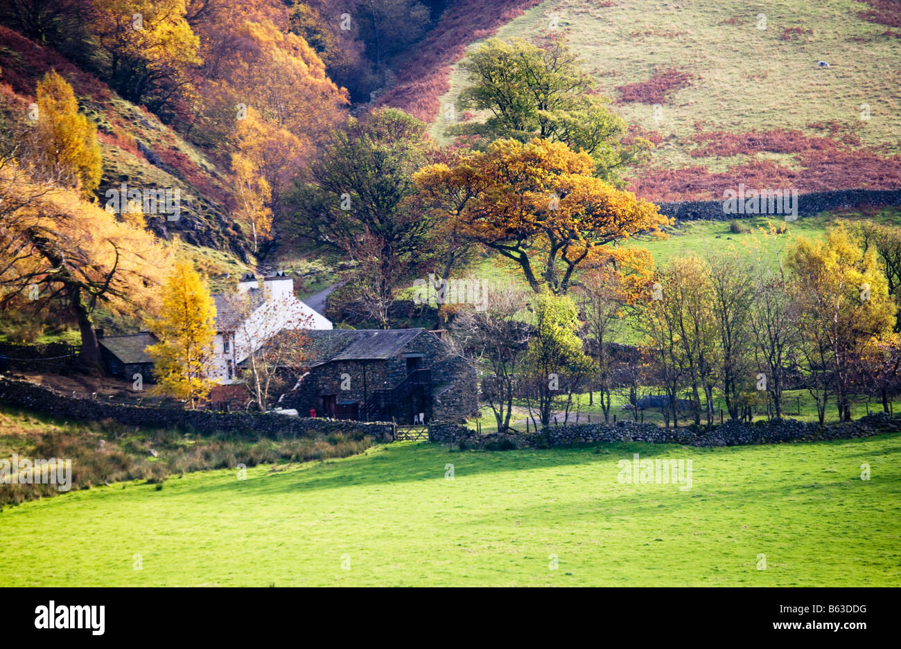 Bauernhaus eingebettet am unteren Hang im Herbst in den Lake District National Park, Cumbria, England, UK Stockfoto