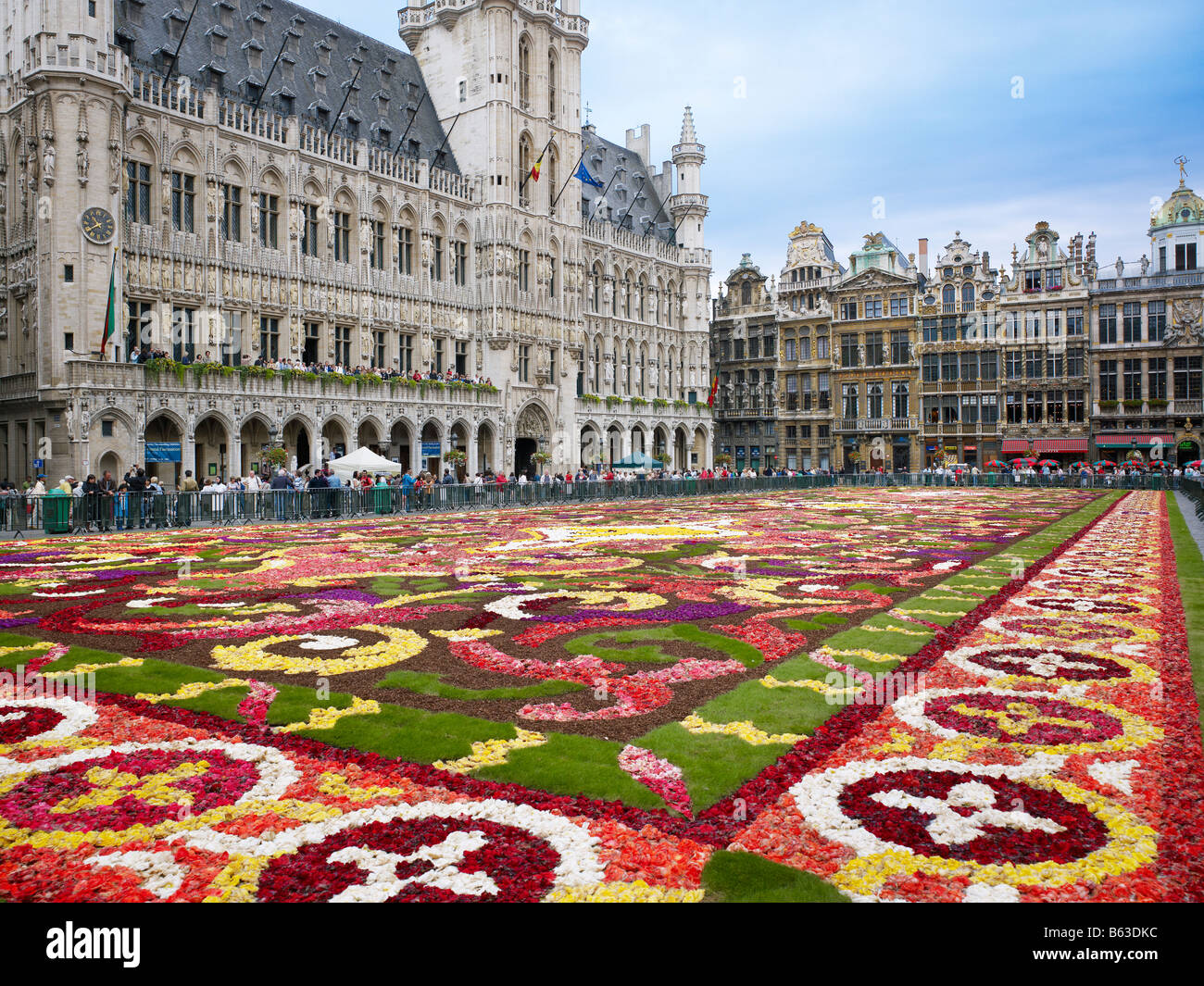 Blumenteppich und Rathaus am Grand Place Brüssel, Brabant, Belgien, Europa Stockfoto