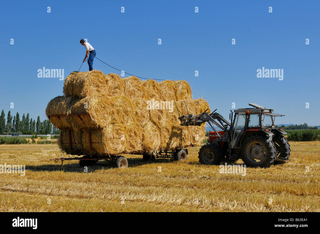 Ein Landwirt Abseilen seine Ladung Stroh, Frankreich. Stockfoto