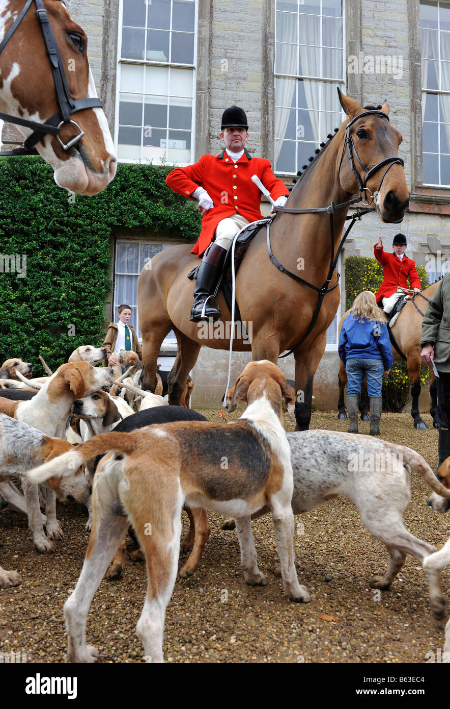 Die Croome und West Warwickshire jagen bei einem Treffen in Ragley Hall in Warwickshire. Die Foxhounds und Meister von Jagdhunden. Stockfoto