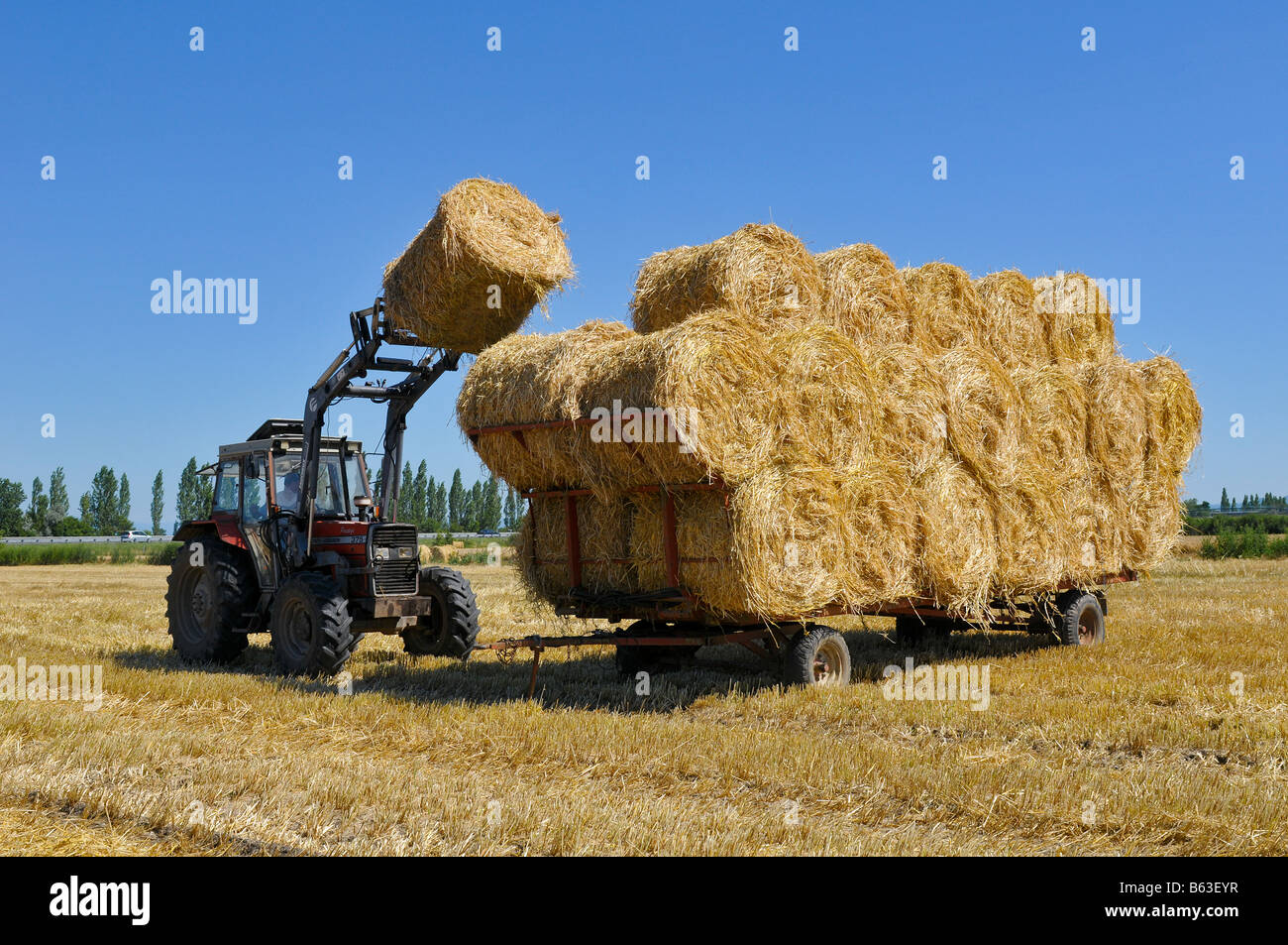 Laden einen Anhänger Strohhalm, Frankreich. Stockfoto