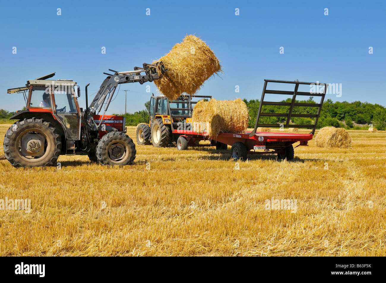 Ernte. Traktor laden runde Strohballen auf einem Anhänger. Stockfoto