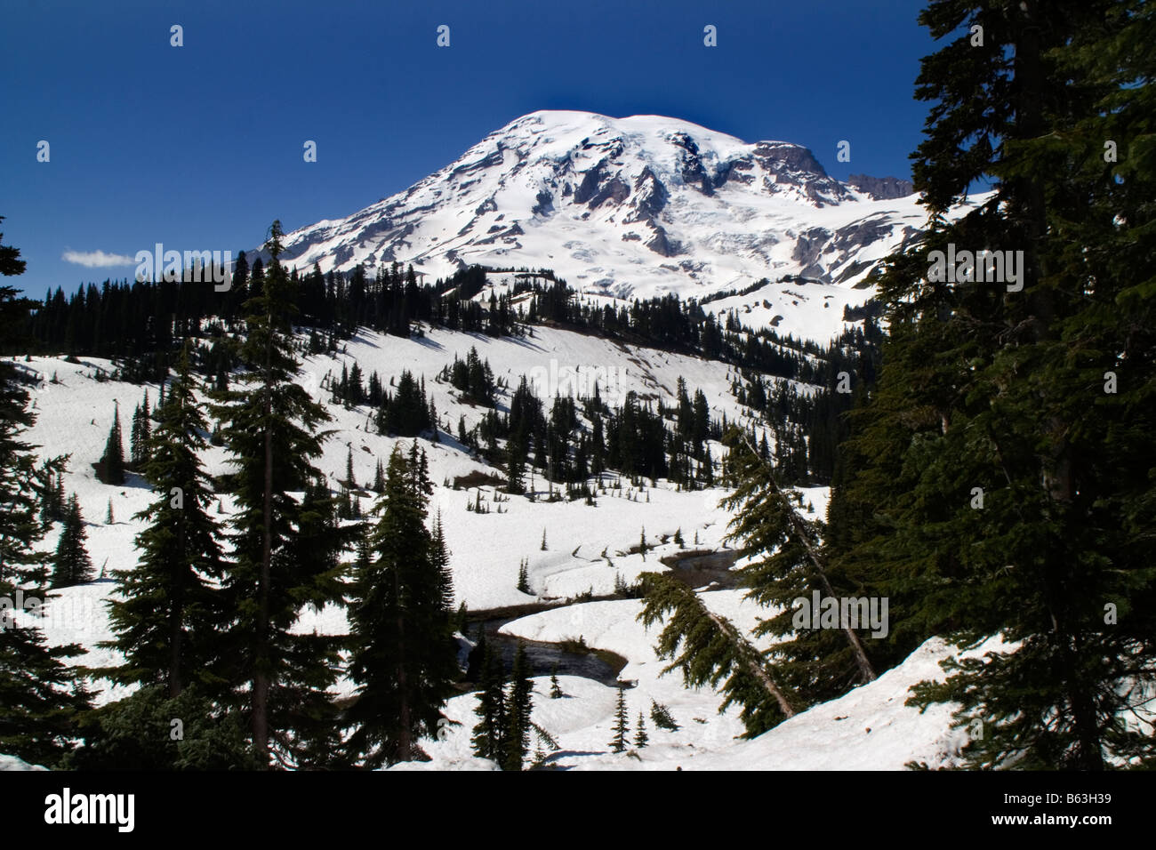 Mount Rainier National Park Paradise Valley Schnee im Juni an einem klaren Tag Stockfoto