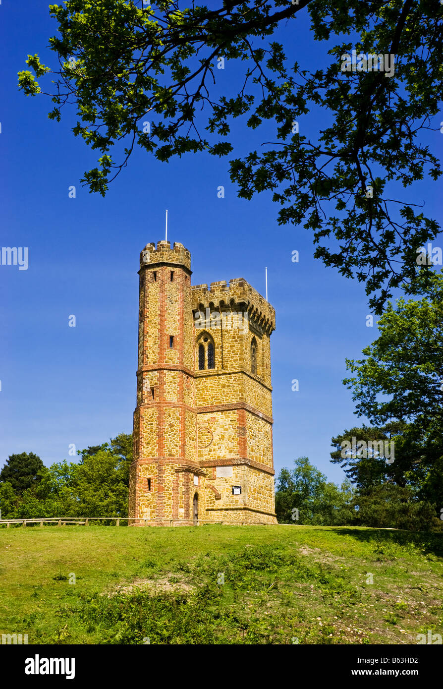 Leith Hill Tower, Surrey, UK Stockfoto