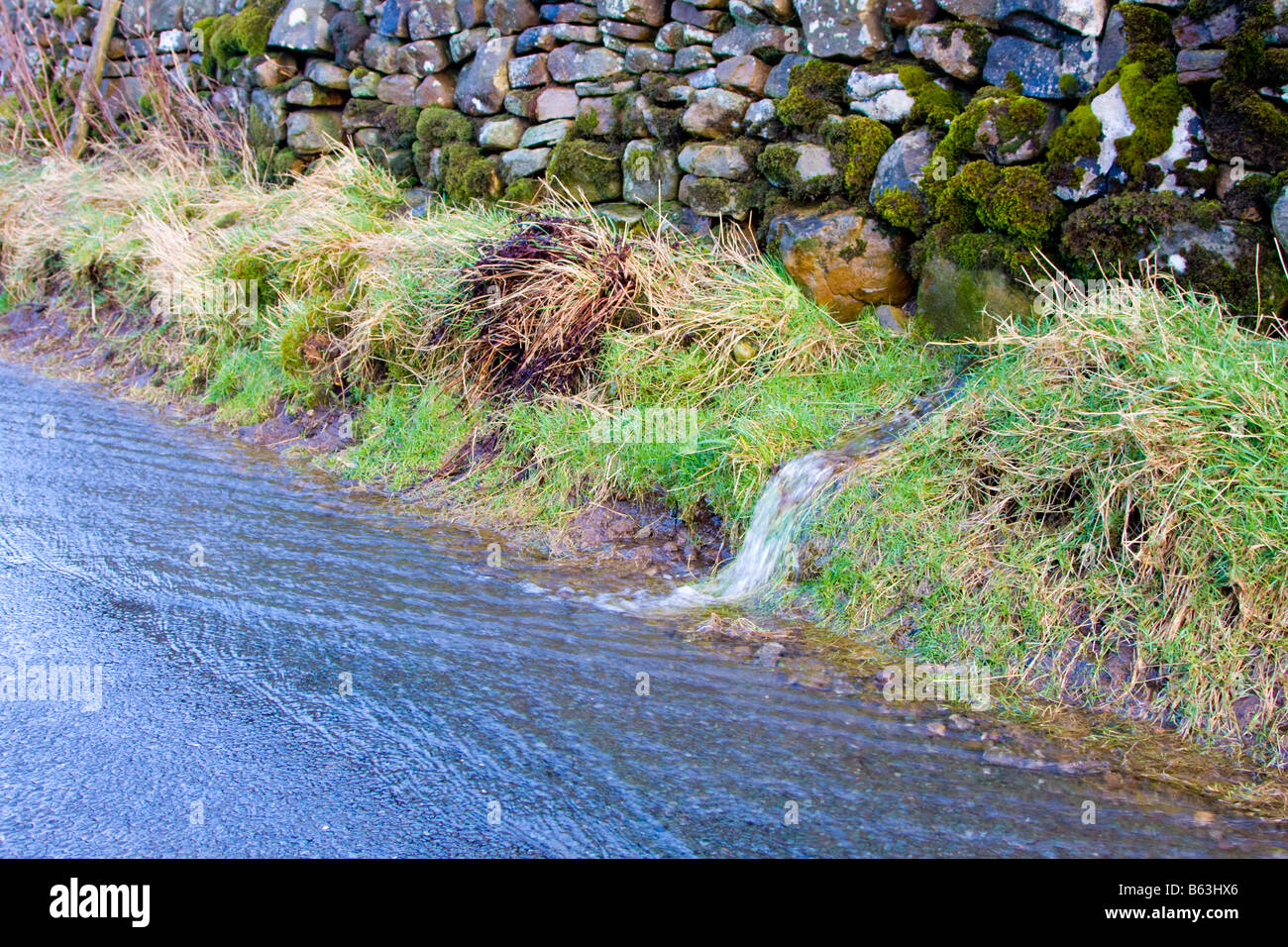 Wasser fließt aus einem Feld auf eine Straße Stockfoto