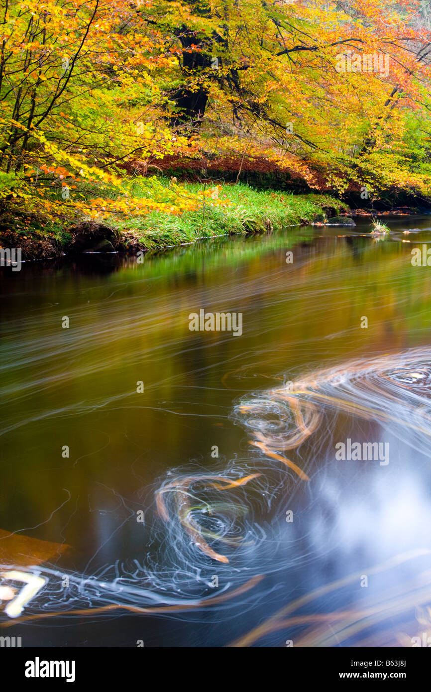 Bewegung auf dem Fluß an Hardcastle Klippen im Herbst Stockfoto