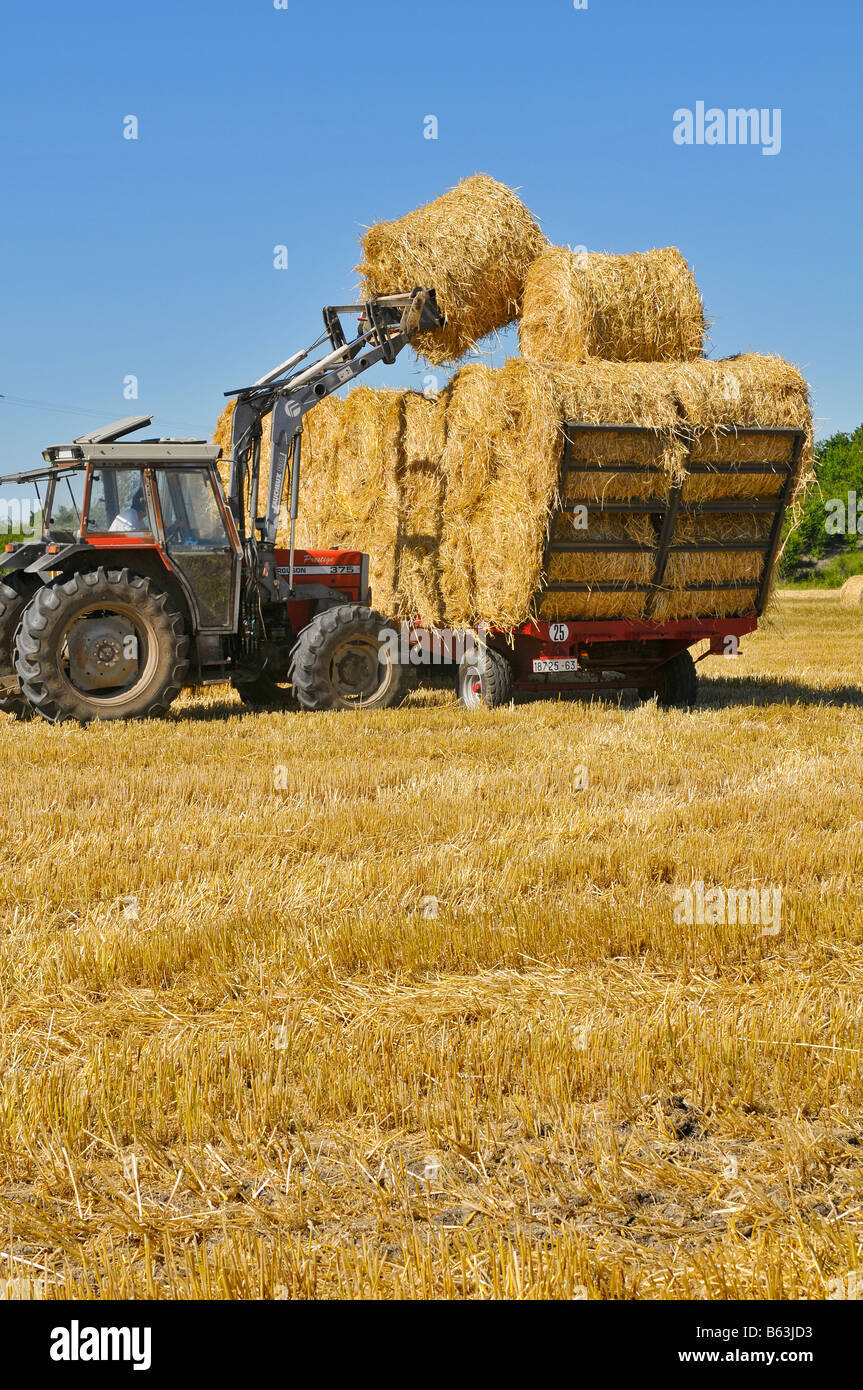 Eine Anhänger Stroh laden Stockfoto