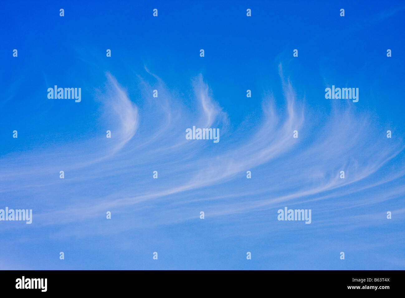 Cirruswolken am blauen Himmel Stockfoto