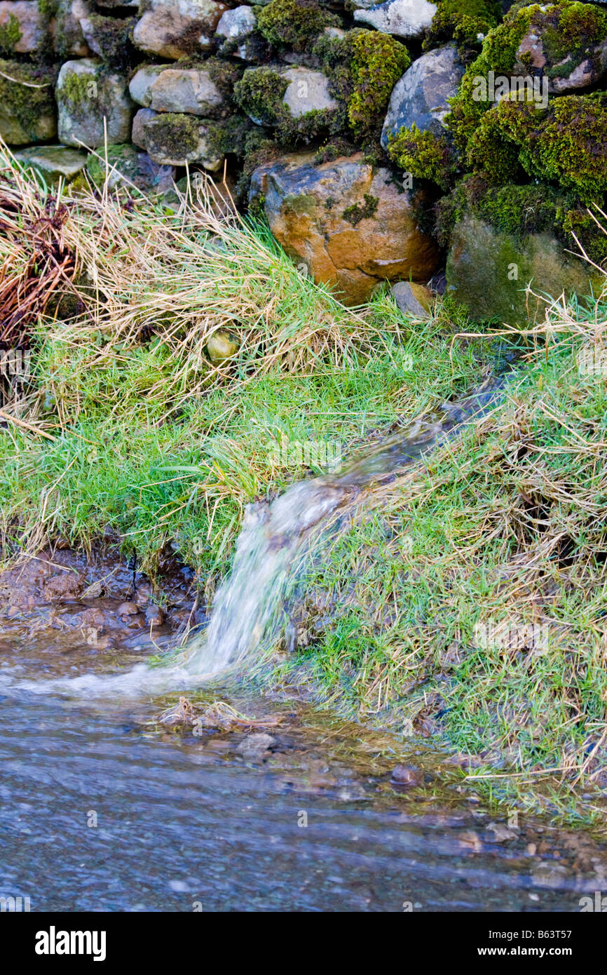Wasser fließt aus einem Feld auf eine Straße Stockfoto