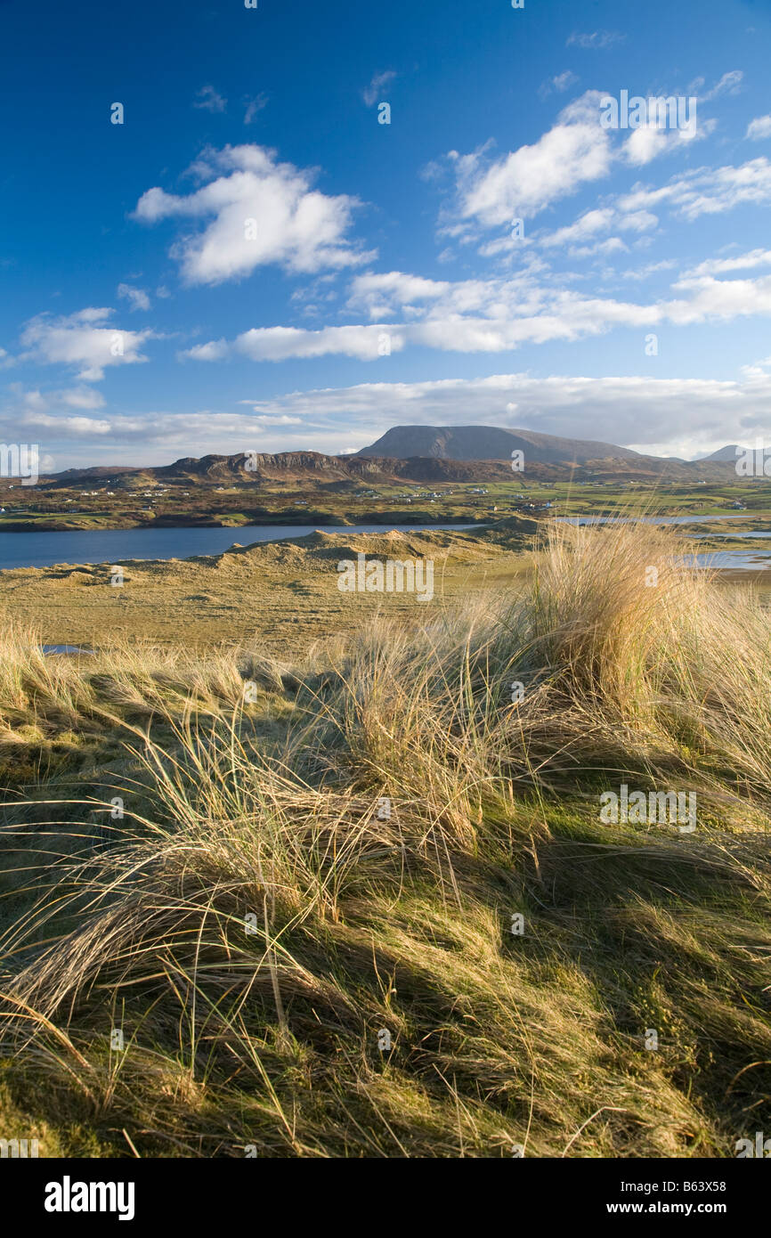 Blick auf Muckish Berg von den Sanddünen von Horn Head. In der Nähe von Dunfanaghy, County Donegal, Irland. Stockfoto