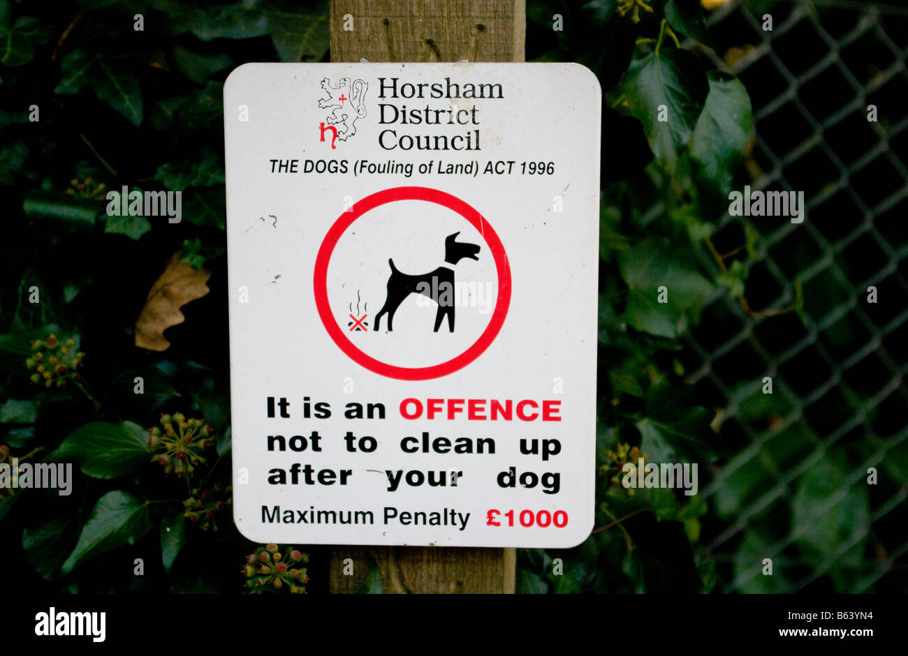 Zeichen Straftat nicht Ihren Hund zu bereinigen, nachdem Stockfoto