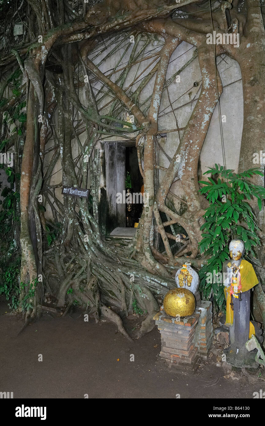Buddhistische Tempel Halle von Bodhi-Bäume, Samut Songkhram, Thailand Stockfoto