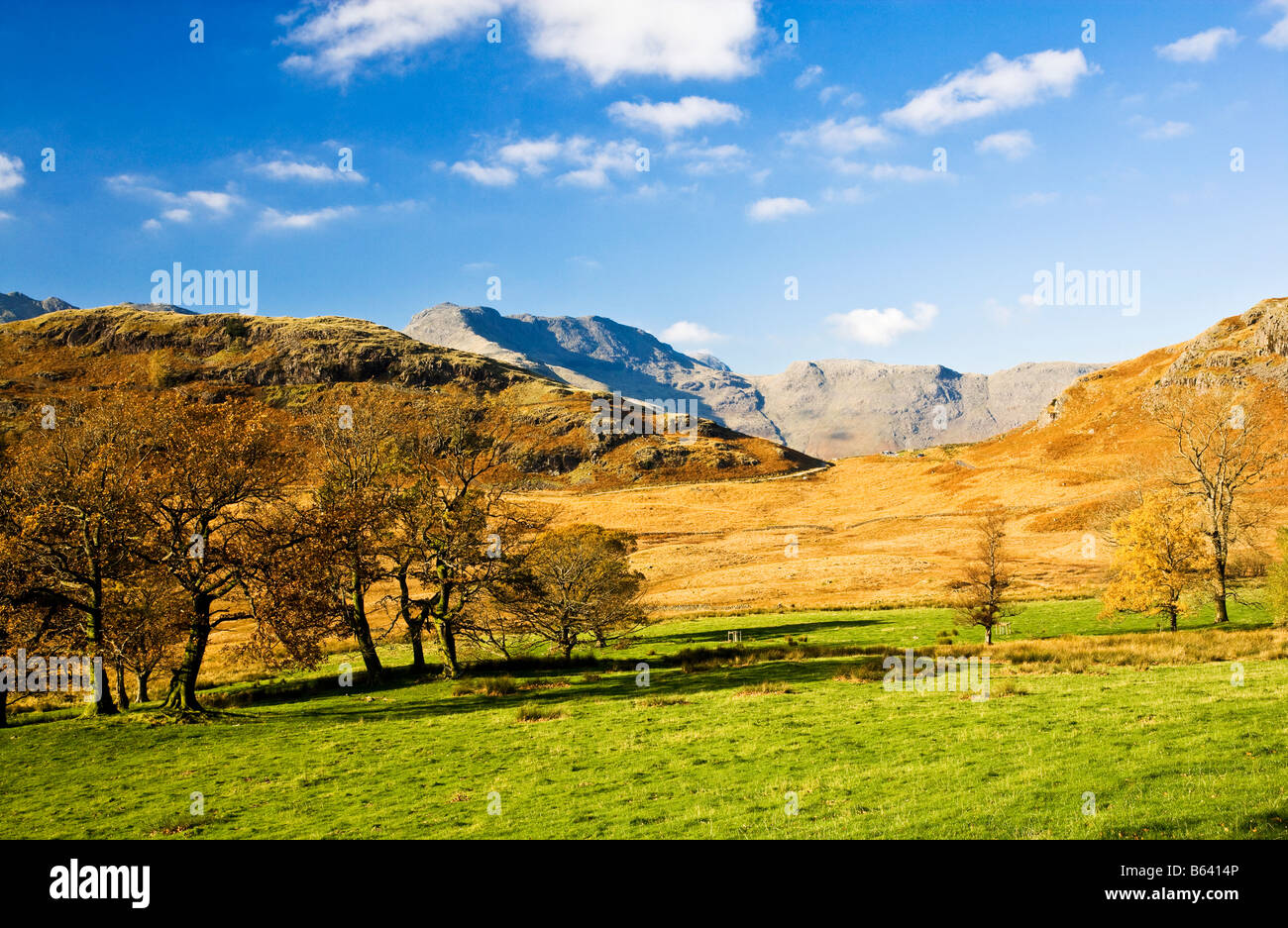Typischen sonnigen Herbsttag Landschaftskulisse anzeigen in den Lake District National Park, Cumbria, England, UK Stockfoto