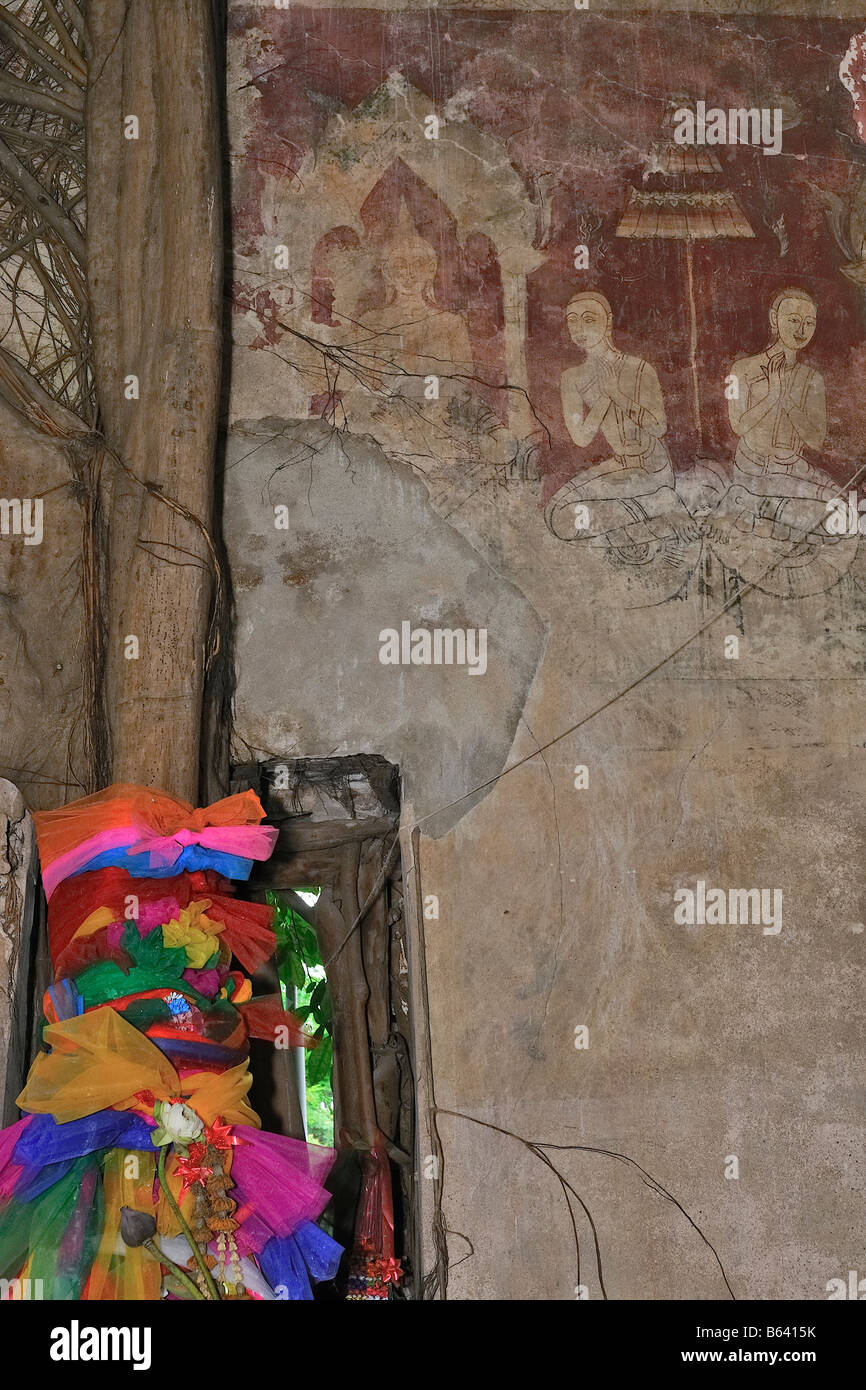 Buddhistische Tempel Halle von Bodhi-Bäume, Samut Songkhram, Thailand Stockfoto