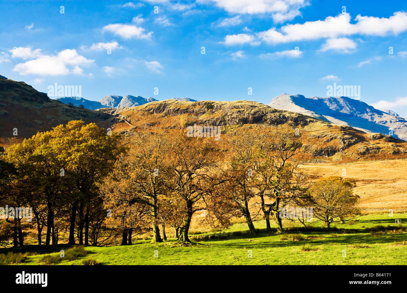 Typischen sonnigen Herbsttag Landschaftskulisse anzeigen in den Lake District National Park, Cumbria, England, UK Stockfoto