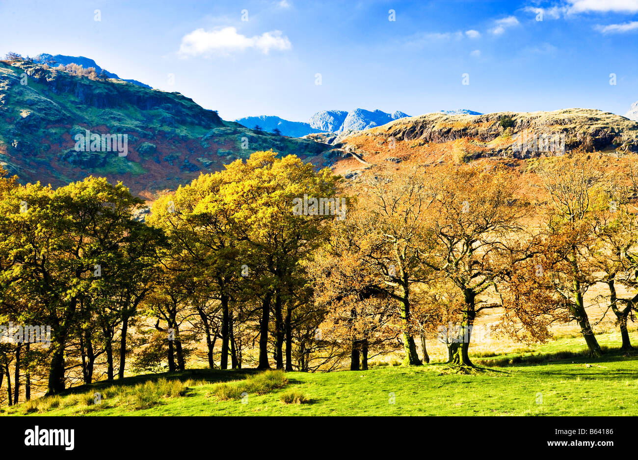 Typischen sonnigen Herbsttag Landschaftskulisse anzeigen in den Lake District National Park, Cumbria, England, UK Stockfoto