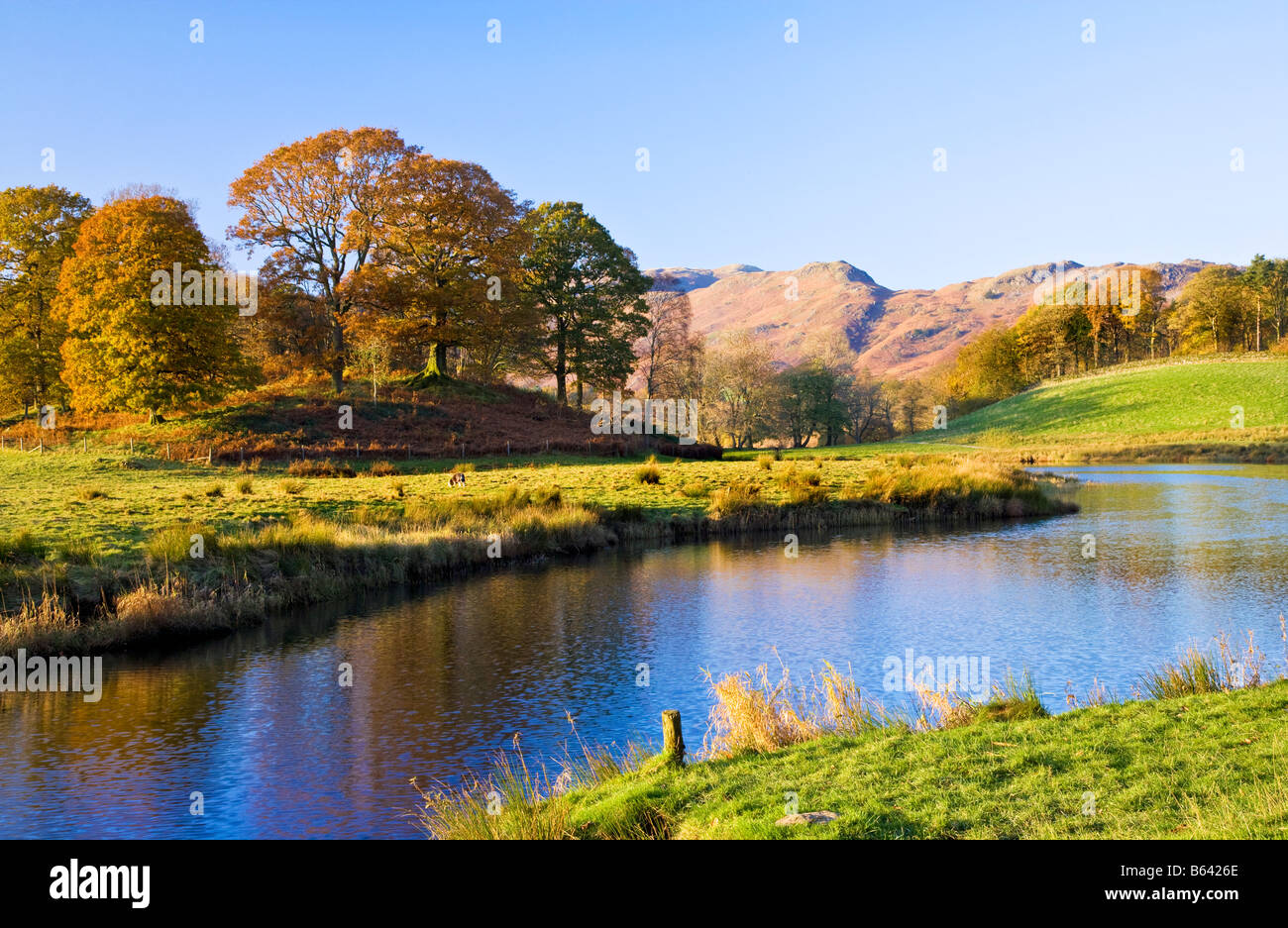 Fluß Brathay im Herbst Nachmittagssonne in der Nähe von Elterwater, Nationalpark Lake District, Cumbria, England, UK Stockfoto