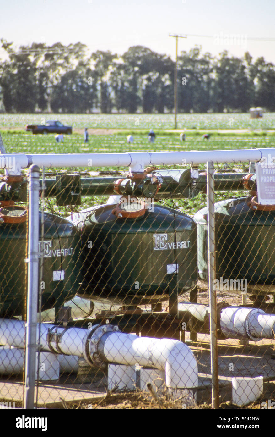 dünger engelstrompete Purgrün Engelstrompete-Dünger 1 Liter main image 1