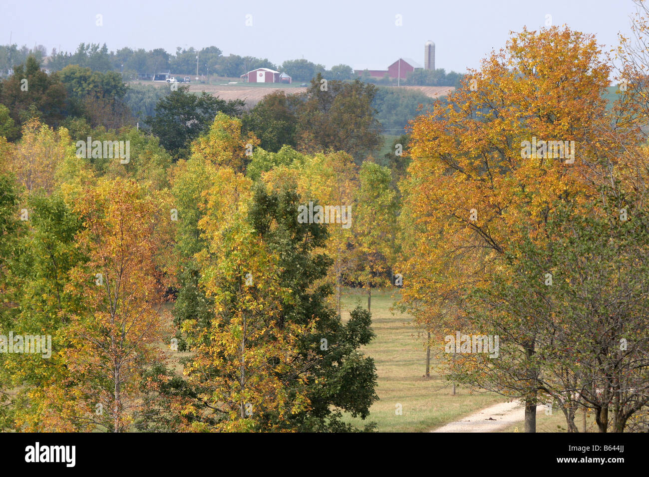 Rote Scheune Bauernhof Landschaft im Herbst-Saison in Wisconsin Stockfoto