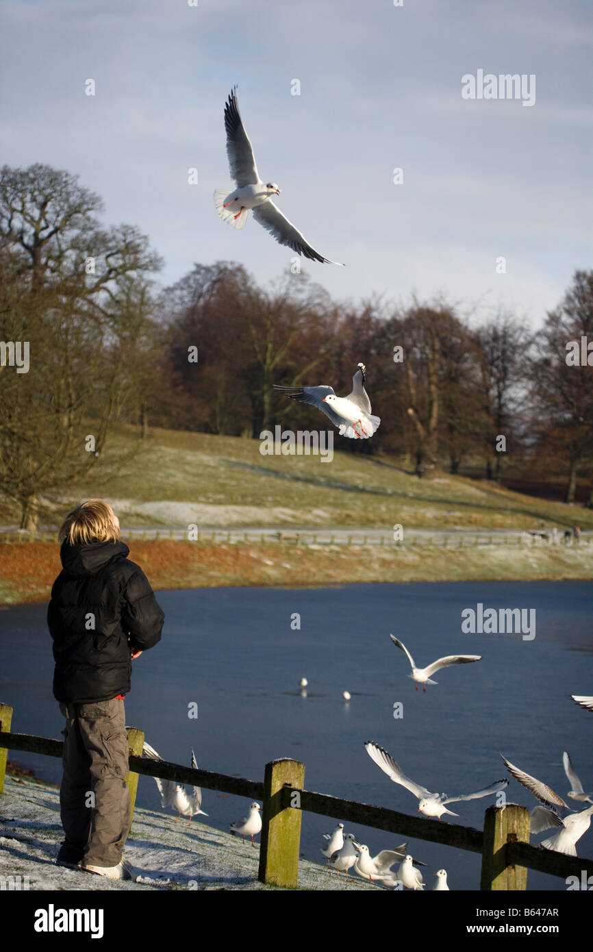 Junge Teenager See Vögel füttern feed Stockfoto