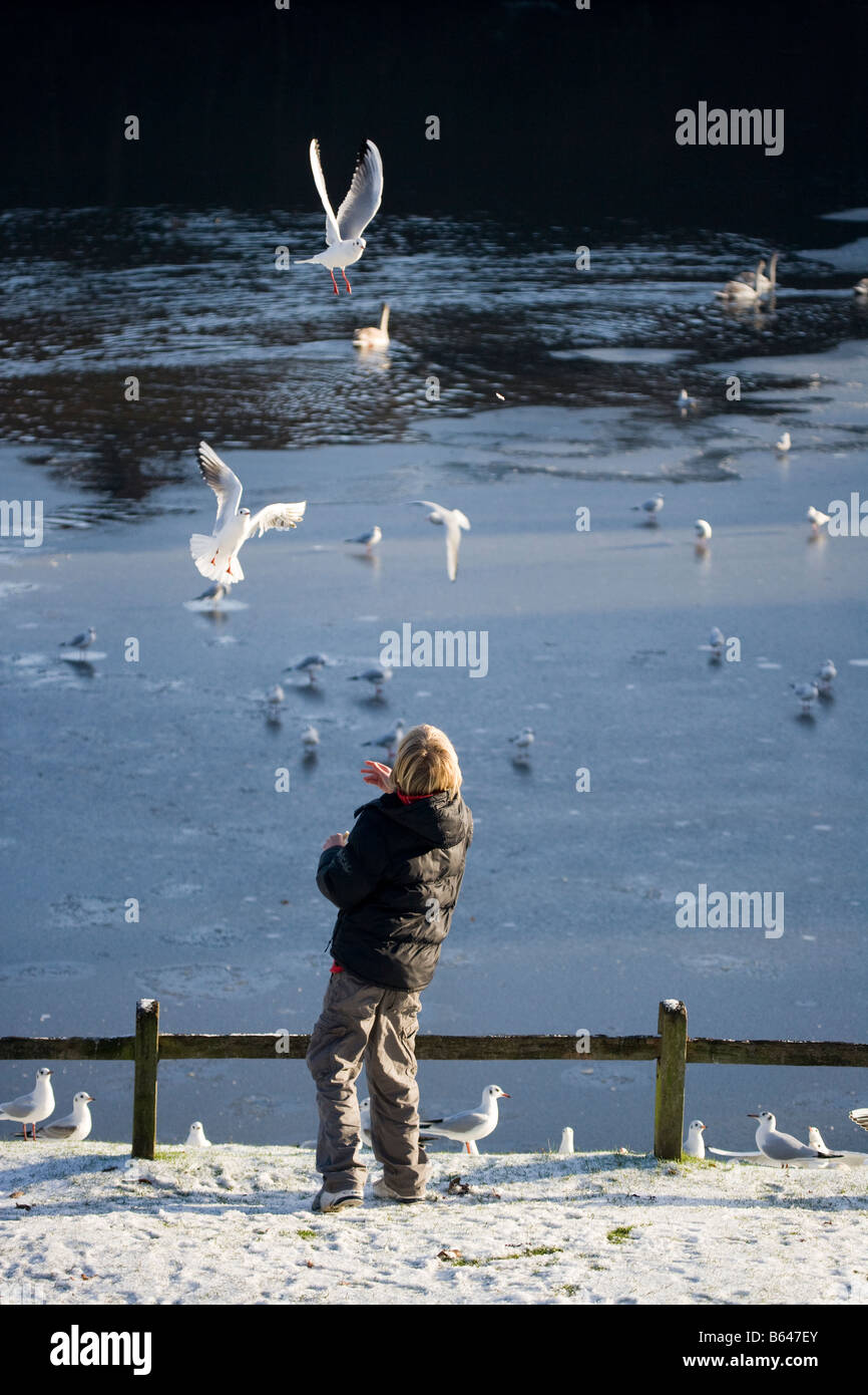 Junge Teenager See Vögel füttern feed Stockfoto