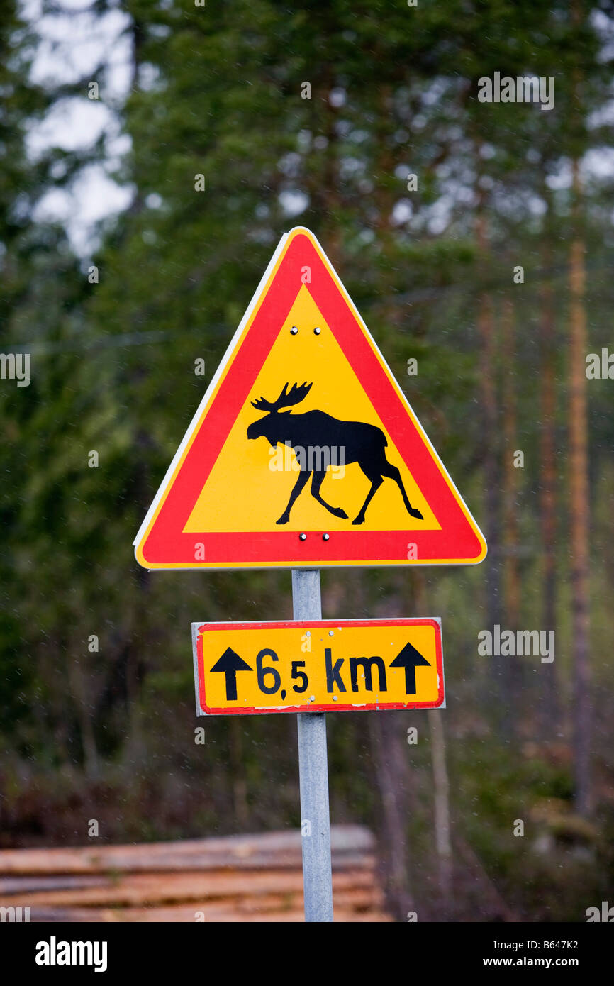 Finnland, Kuhmo, Straßenschild, die Sie für das Überschreiten der Elch warnt. Stockfoto