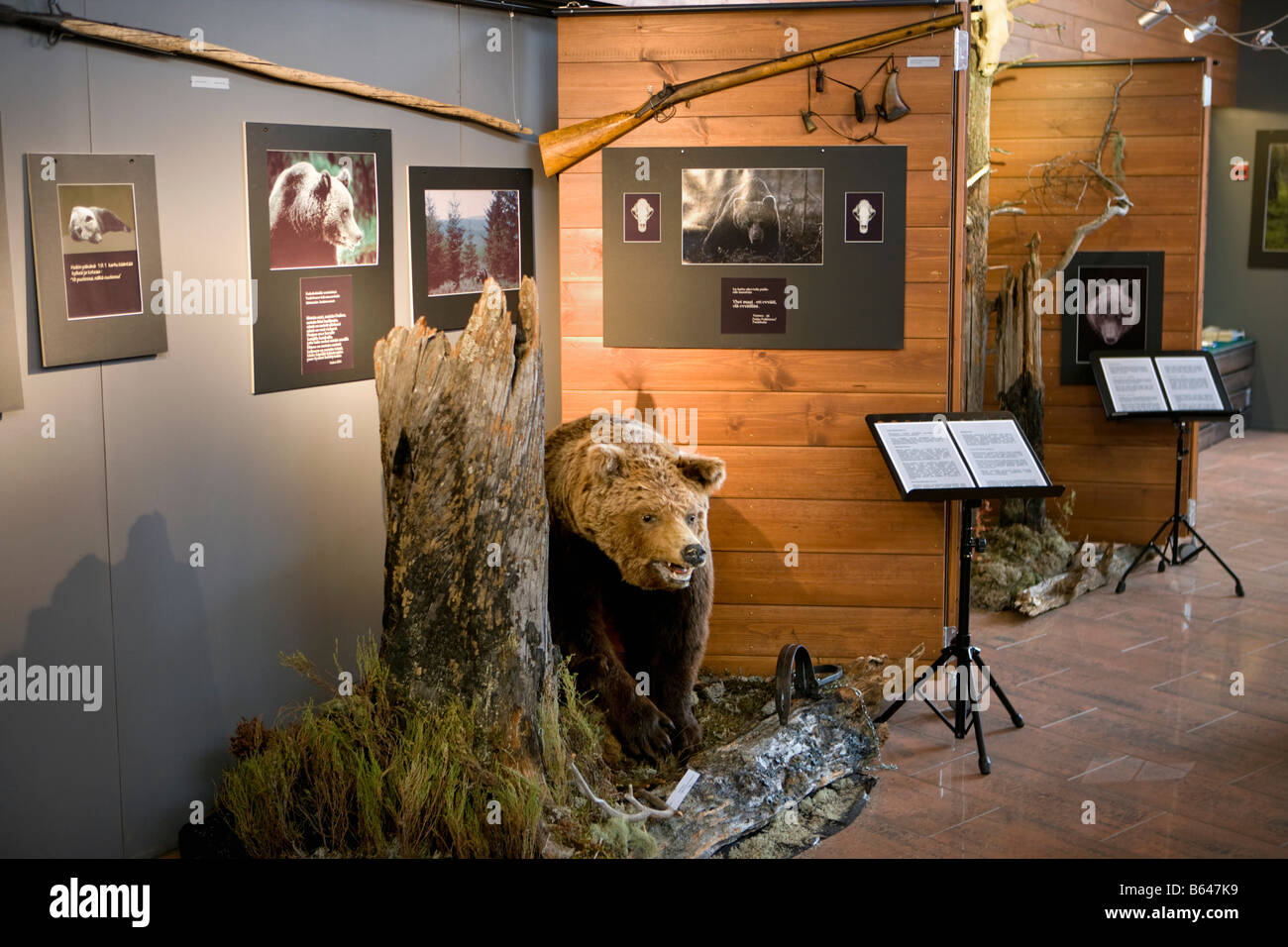 Finnland, Kuhmo, Petola Visitor Center. Informationen über Finnlands größte Fleischfresser und Preditors, wie Bär, wolf Stockfoto