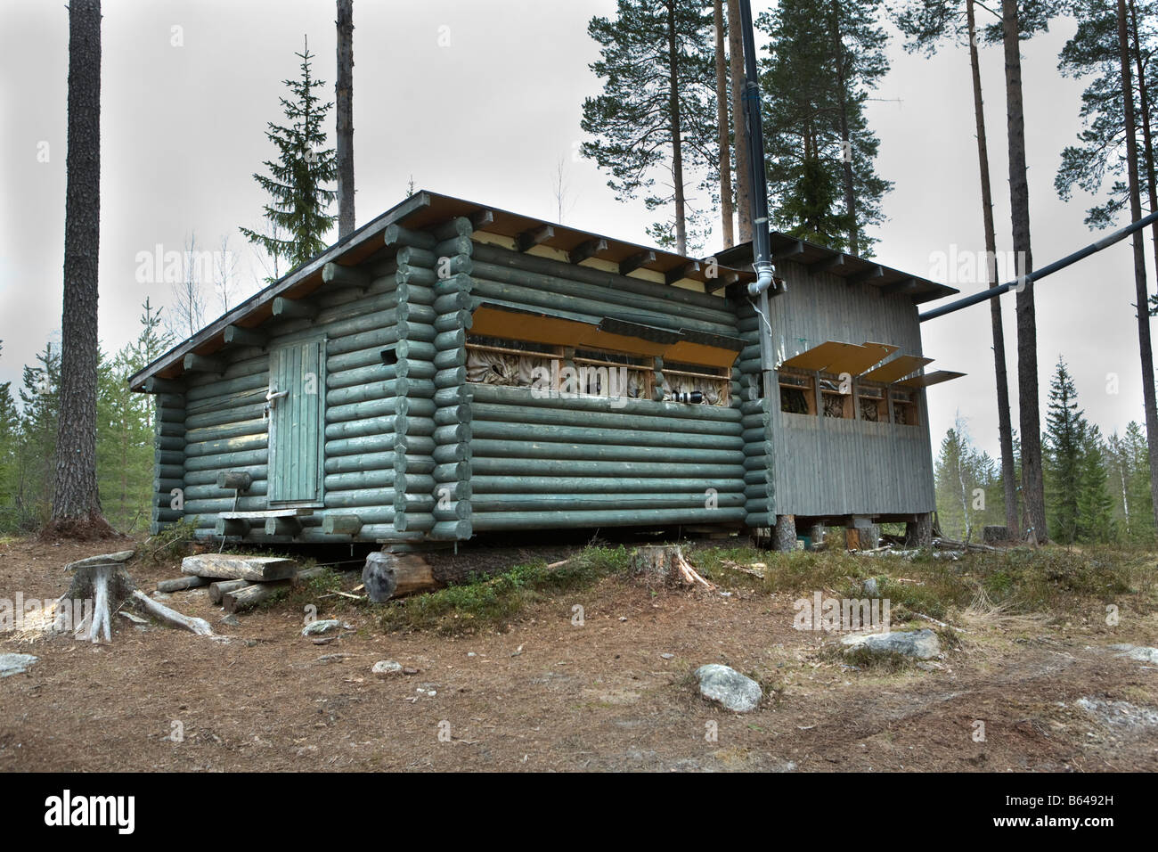 Finnland, Ruhtinansalmi, in der Nähe von Suomussalmi Wildlife Centre. Touristen, Fotografen in s der Braunbär zu ausblenden Stockfoto