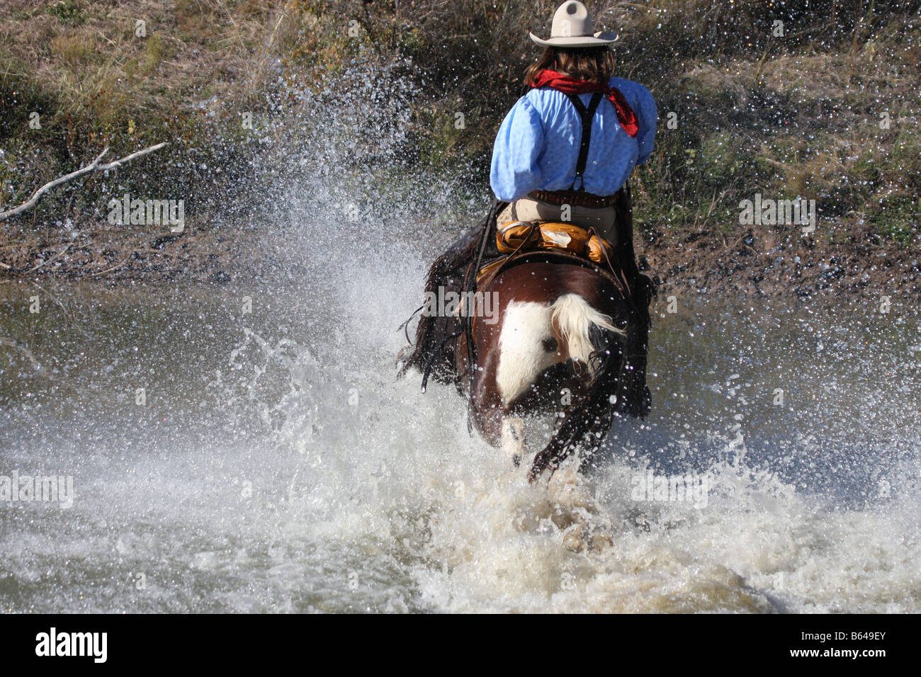 Ein Cowboy sein Pferd durch das Wasser entlang dem Rand eines Teiches läuft Stockfoto