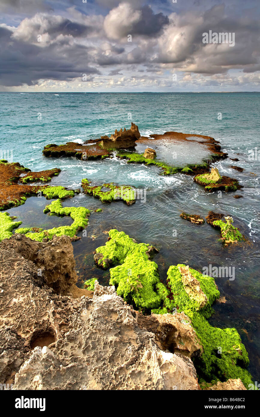 Limestone Coast Stockfoto