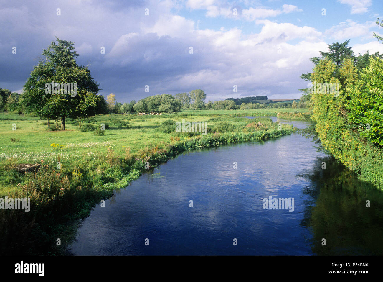 Fluss Test Strandwiesen Stockbridge Hampshire England UK englische Landschaft Landschaft Stockfoto