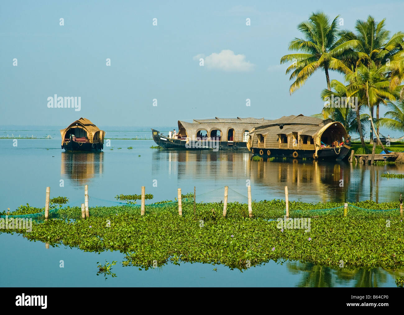 Hausboote-Kreuzfahrt am Vembanad See in Kumarakom Kerala Indien im März 2006 Stockfoto