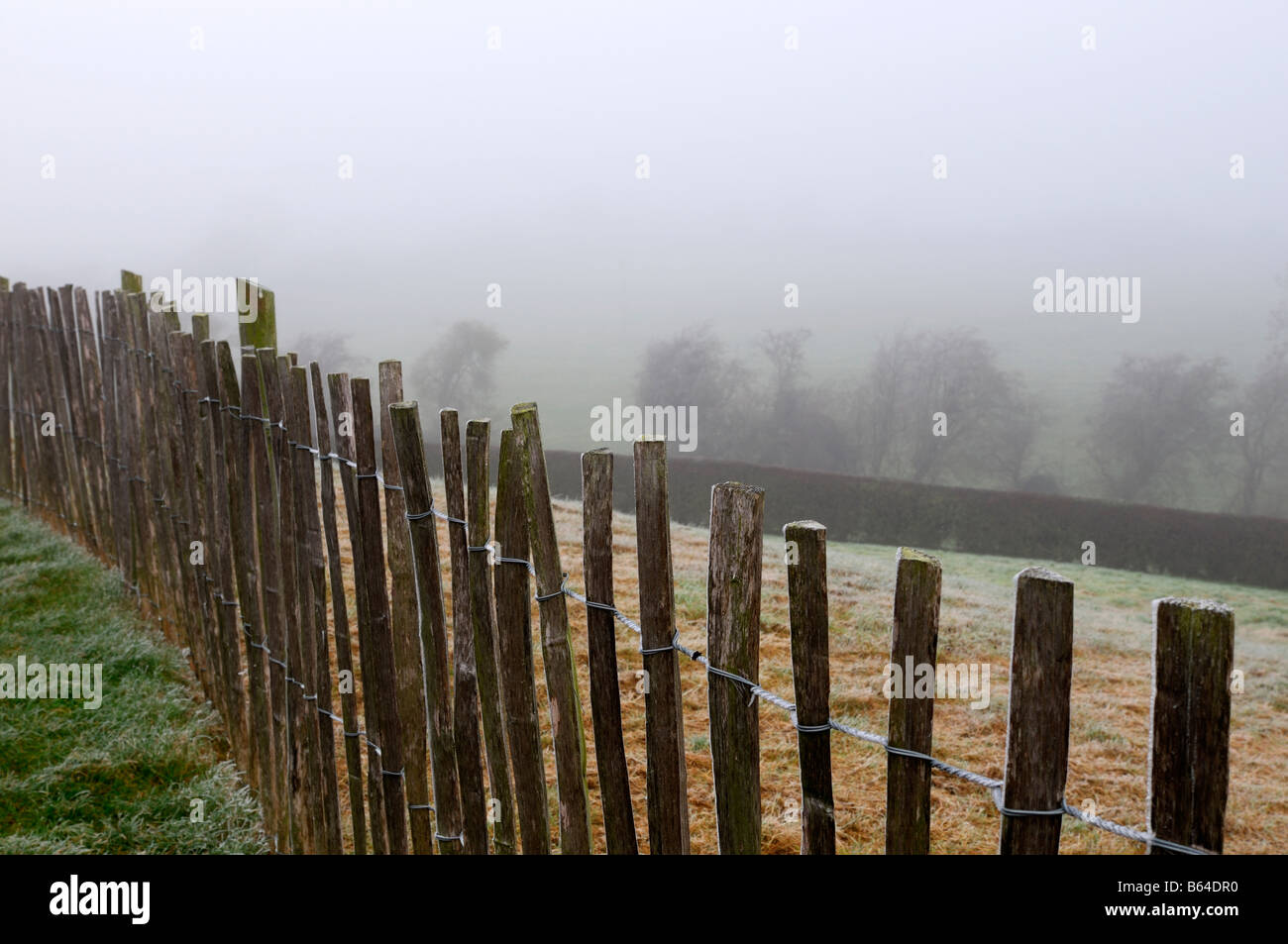 hölzerne Lattenzaun mit Baum silhouette in sehr dichten Einfrieren kalten Nebel Meath, Irland Nebel gehüllt Bäume und Zaun Stockfoto