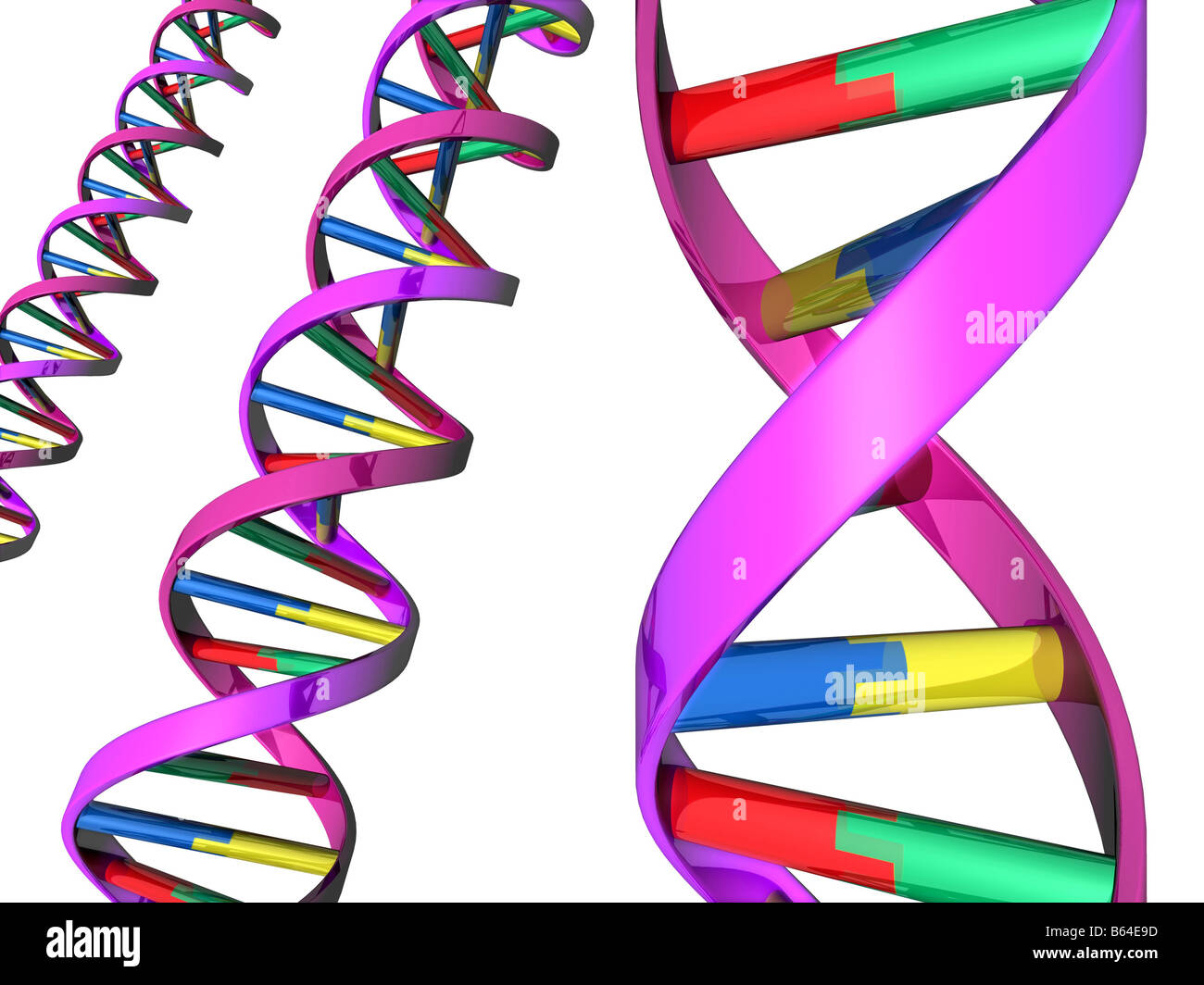 Illustration der bunten DNA Double Wendeln Stockfoto