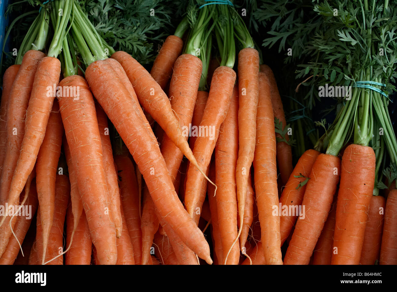 Nahaufnahme mit frischen orangefarbenen Möhren auf dem Markt Gemüse Stockfoto